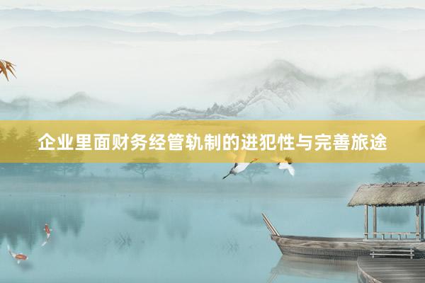企业里面财务经管轨制的进犯性与完善旅途